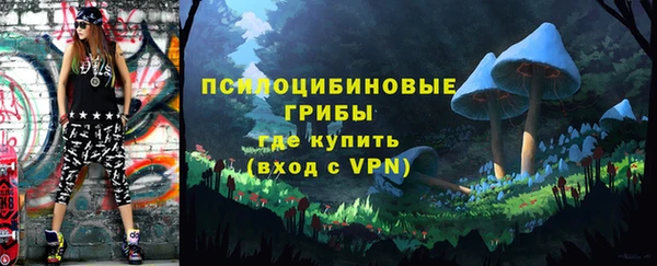 a pvp Абаза
