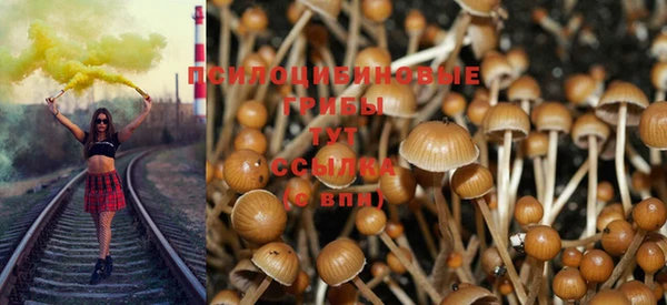 a pvp Абдулино