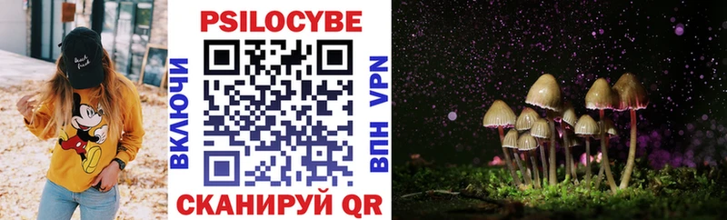 OMG зеркало  Нариманов  Галлюциногенные грибы прущие грибы 